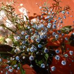 12月21日☆火曜日